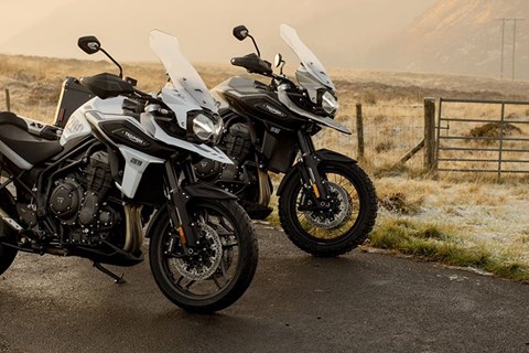 Triumph Tiger 1200 Sondermodelle 2020