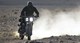 Harley-Davidson 1200 Roadster 'Desert Wolve'