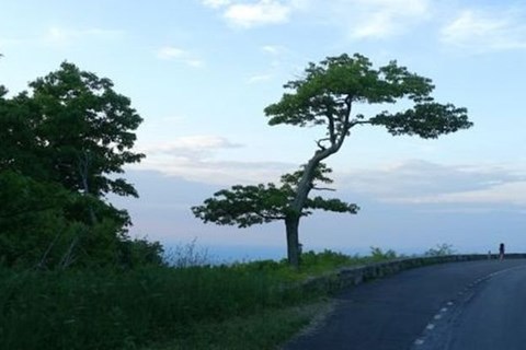 Ostküsten-Tour in den USA