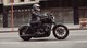 Harley-Davidson Iron 883 (2010-2020) Gebrauchtberatung