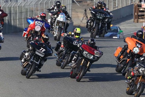 Das King of Baggers Rennen ist genauso verrückt, wie es aussieht