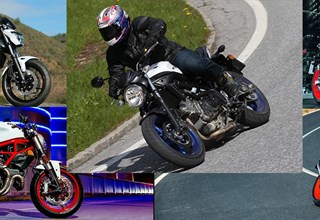 Top 5 Einsteigerbikes auch für Fortgeschrittene