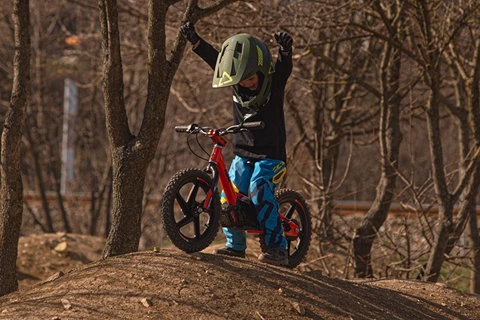 Neues KTM E-Laufrad im Test Neues KTM E-Laufrad im Test