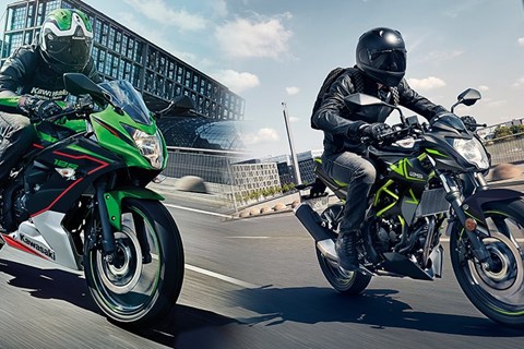 Kawasaki Ninja 125 und Z125 2022