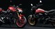 50 Jahre Kawasaki Z-Naked Bikes! Sondermodelle für 2022