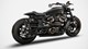 Zard Komplettanlage für die Harley-Davidson Sportster S (ab 2021)
