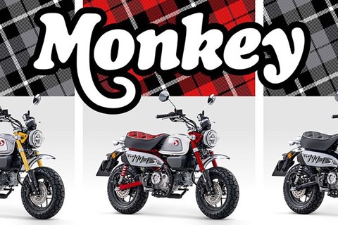 Lang lebe die Legende! Honda Monkey 125 in neuen Farben für 2023