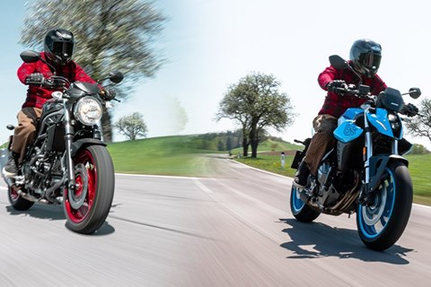 Suzuki GSX-8S vs. SV650 im Naked Bike Vergleich