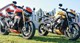 Triumph Street Triple 765 RS vs. Speed Triple 1200 RS