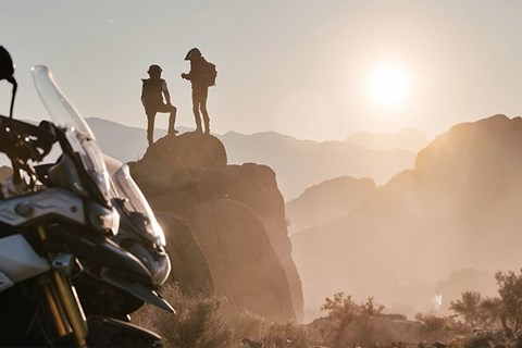 Umfrage: 250 Biker haben sich via Cardo das "Ja-Wort" gegeben