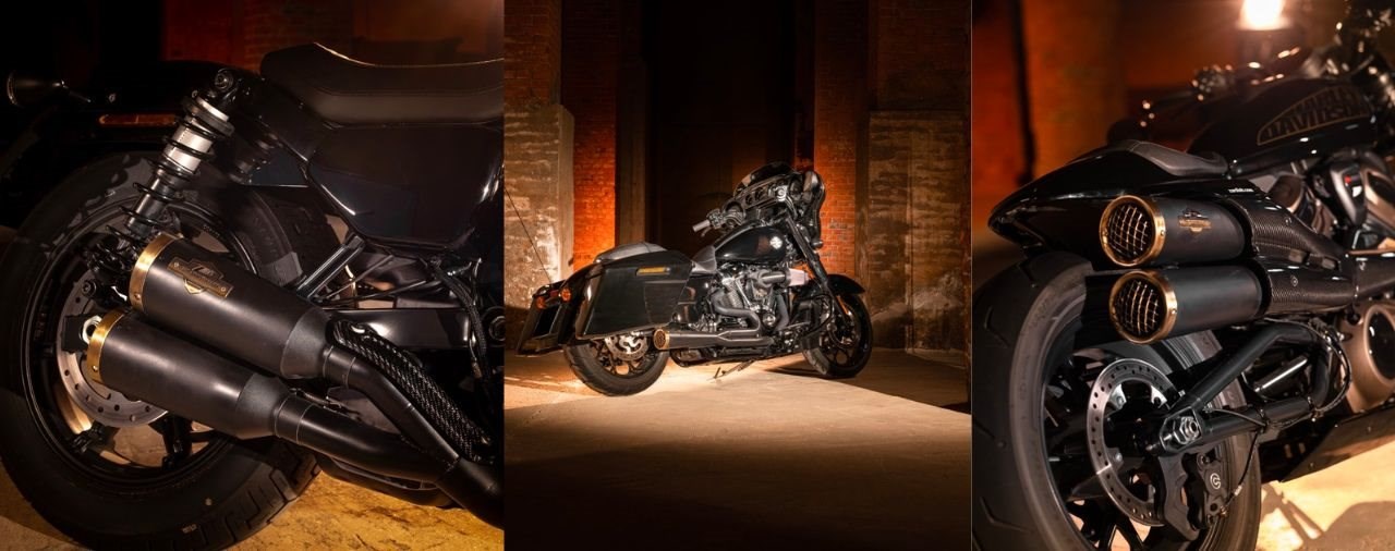 Zard-Anlagen für die Harleys Nightster, Sportster und Touring