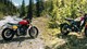 Alpine Scrambler - Fantic Caballero 700 vs Ducati Scrambler Icon