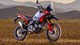 DesertX Rally – die Ducati für wirklich Grobes 