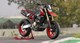 Ducati Motorrad Neuheiten 2024