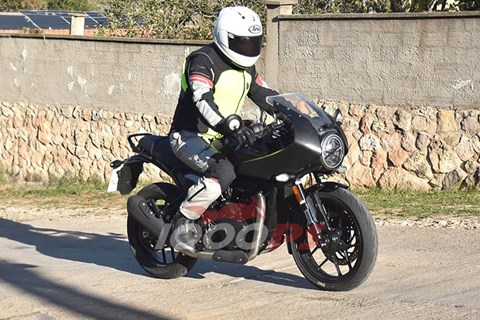 Triumph Thruxton 400 Erlkönig 2025 gesichtet