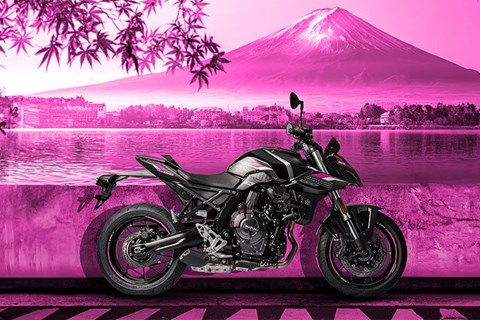 Suzuki Sondermodelle 2024: GSX-8S, GSX-S1000, V-Strom 800DE