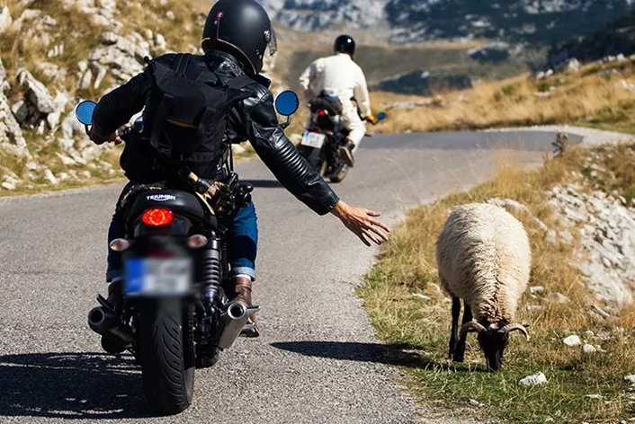 The Balkan Rally is a challenging but breathtakingly beautiful seven-day endurance race on public roads, discovering the picturesque routes of the Balkans on a classic bike through the beautiful landscapes of four countries, from downtown Budapest to the Adriatic coast.