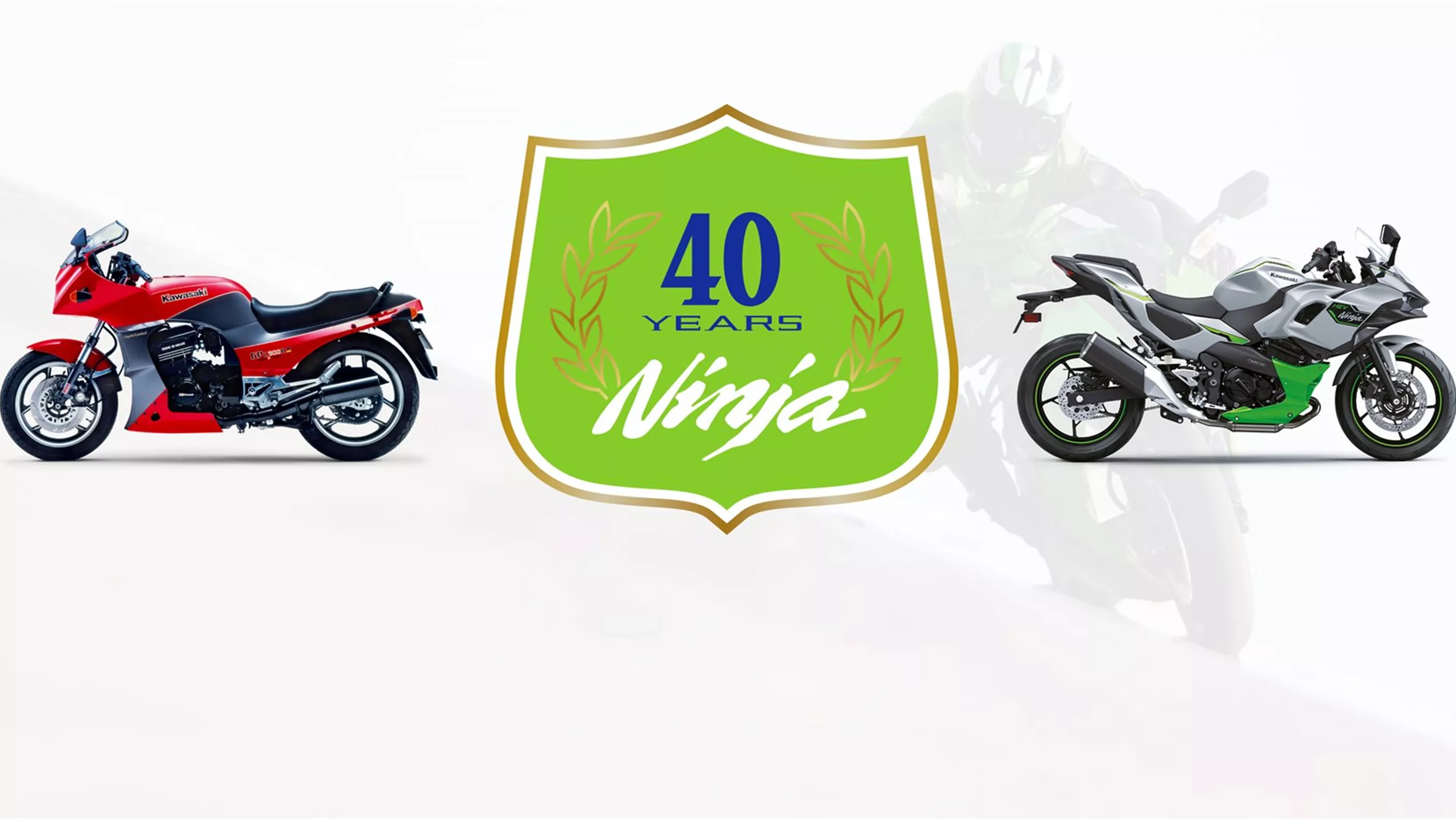 Kawasaki Ninja Kawasaki Ninja