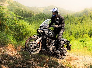 Harley-Davidson Pan America 1250 im 1000PS Offroad Test 2024