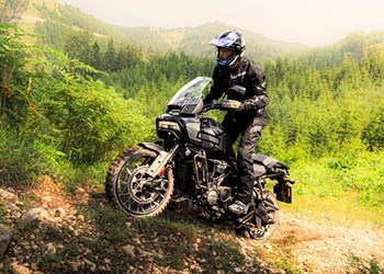 Harley-Davidson Pan America 1250 im 1000PS Offroad Test 2024 Harley-Davidson Pan America 1250 im 1000PS Offroad Test 2024