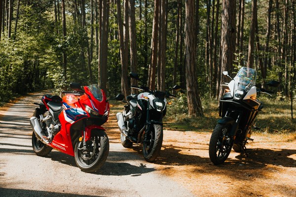 Kaufberatung: Honda A2-Motorräder - Hornet, NX oder CBR?