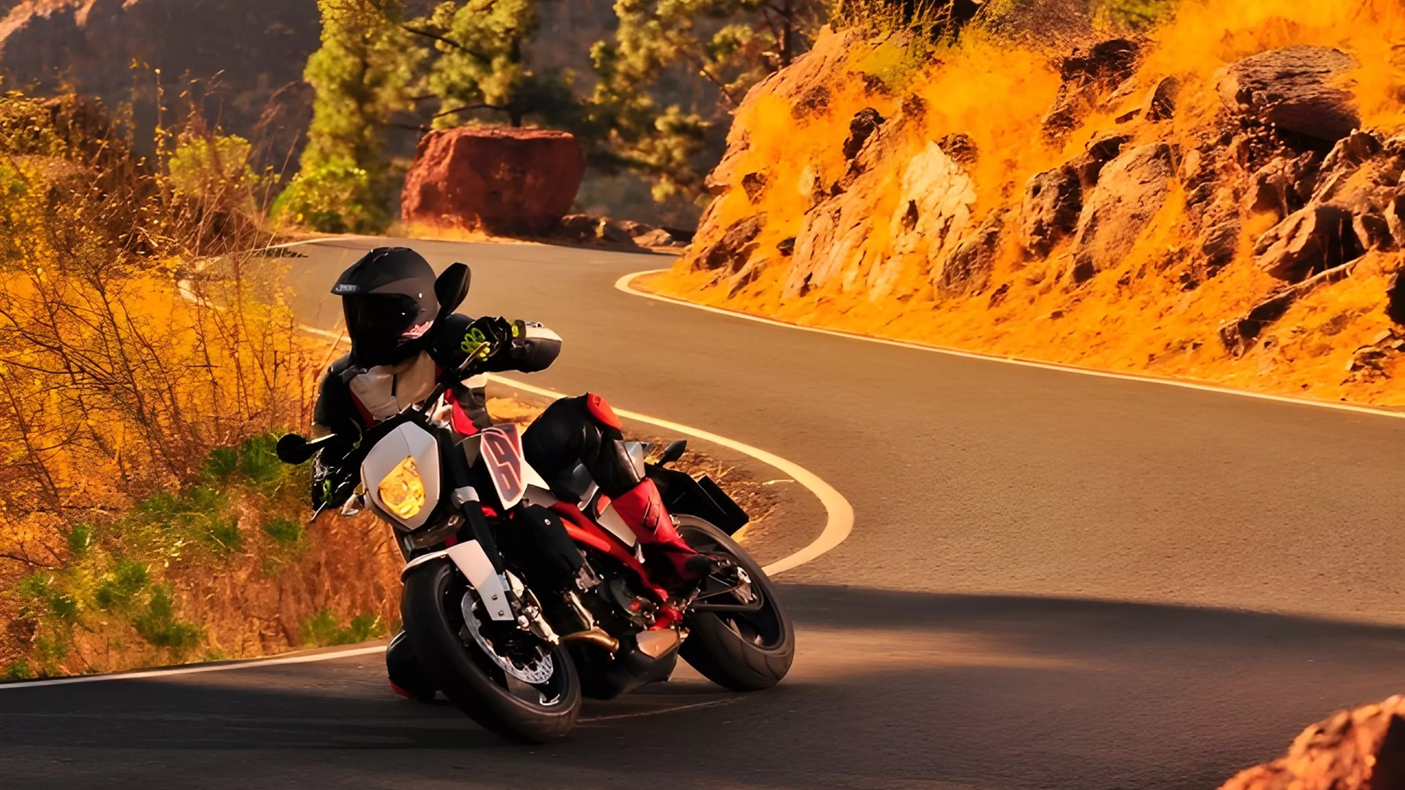 KTM 690 Duke 2012 KTM 690 Duke 2012