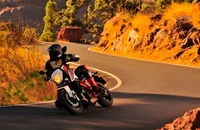 Testbericht KTM 690 Duke - Vorschaubild KTM 690 Duke