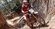 Triumph TF 250-E und TF 450-E Test 2025