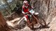 Triumph TF 250-E und TF 450-E Test 2025