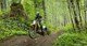 Suzuki DR-Z4S 2025 im Test: Comeback der Kult-Enduro