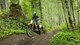 Suzuki DR-Z4S 2025 im Test: Comeback der Kult-Enduro