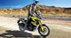 Suzuki V-Strom 2025: Neue Looks für 1050 und 1050DE