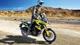 Suzuki V-Strom 2025: Neue Looks für 1050 und 1050DE