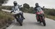 Ducati Multistrada V2 S vs. BMW F 900 XR Test & Vergleich