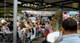 Hoschi Days 2025: Bikes, Action und Emotionen in Sursee