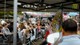 Hoschi Days 2025: Bikes, Action und Emotionen in Sursee