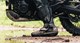 Daytona TransTourMan GTX im Langzeittest