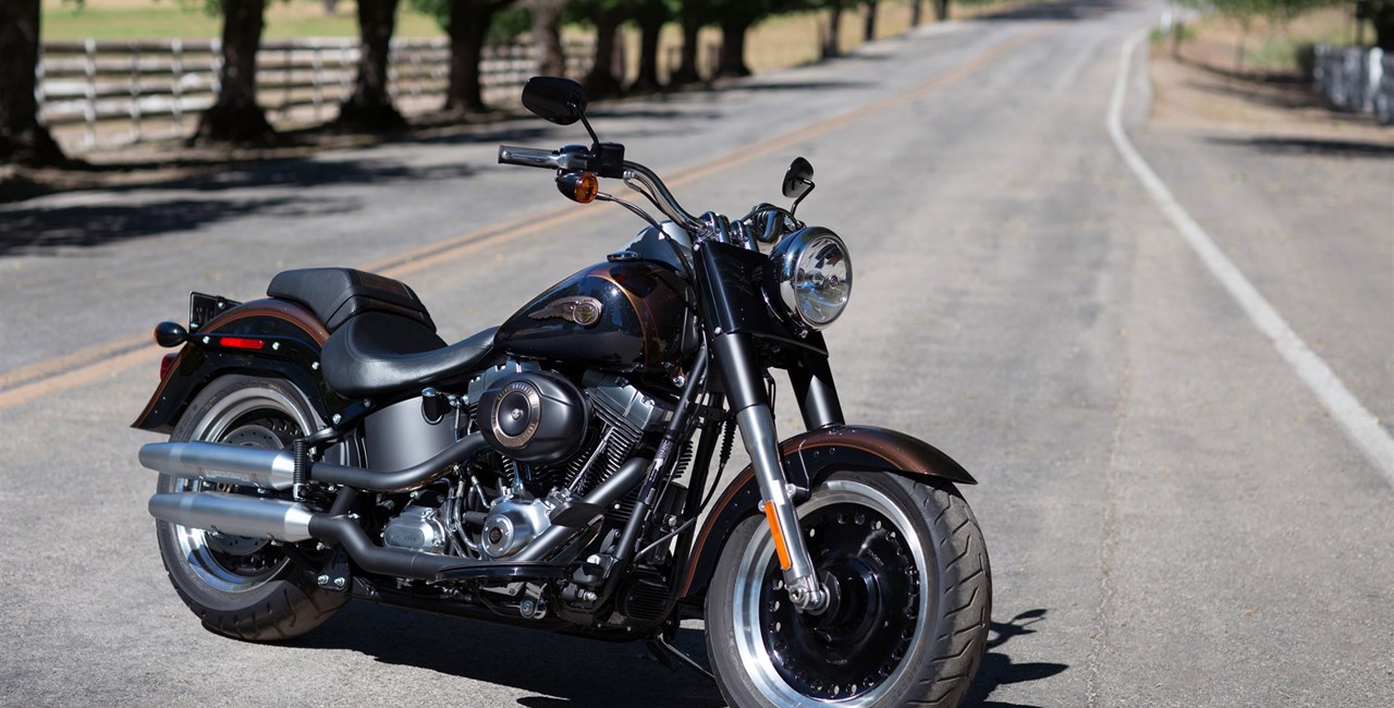 Harley-Davidson Fat Boy: Gebrauchtberatung, Modelle & Tipps
