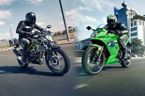 Kawasaki Ninja 125 & Z125 2026 starten mit neuen Farben