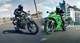 Kawasaki Ninja 125 & Z125 2026 starten mit neuen Farben