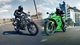 Kawasaki Ninja 125 & Z125 2026 starten mit neuen Farben