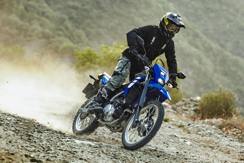 Yamaha WR125R 2026: Rückkehr der kleinen Abenteuer-Enduro