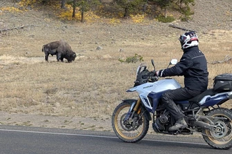 Motorradreise zum Yellowstone Nationalpark Motorradreise zum Yellowstone Nationalpark