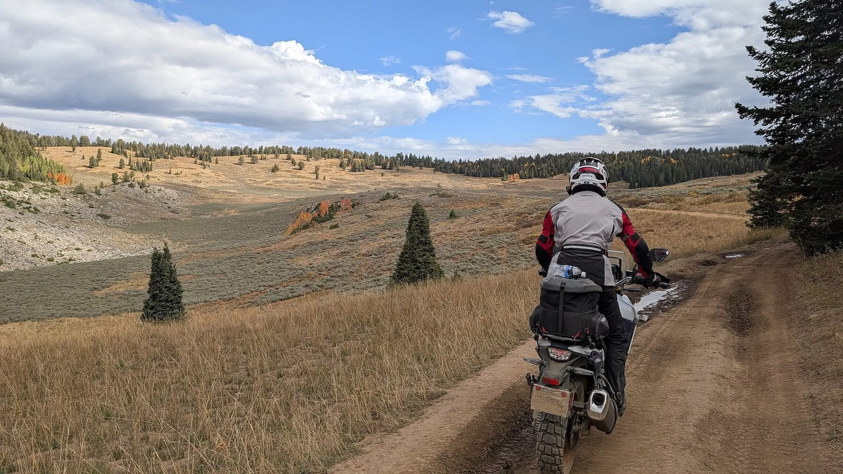 Dunlop Trailmax Raid im Test auf der Suzuki V-Strom 800DE Dunlop Trailmax Raid im Test auf der Suzuki V-Strom 800DE
