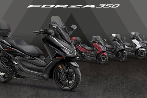 Honda Forza 2026 – Premium-Roller mit frischen Farben