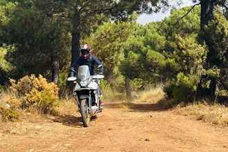 Honda XL750 Transalp im Langzeittest