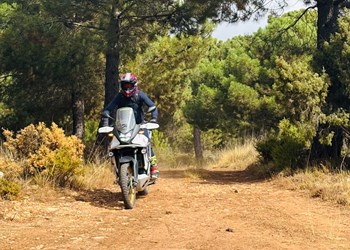 Honda XL750 Transalp im Langzeittest