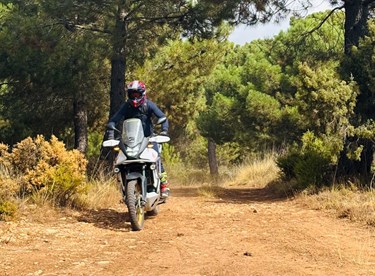 Honda XL750 Transalp 2024 im Langzeittest