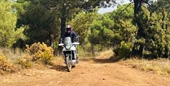 Honda XL750 Transalp 2024 im Langzeittest