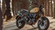Gebrauchtberatung: Ducati Scrambler (2015 - heute)